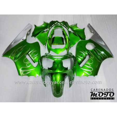 Kawasaki ZX12R 2000-2001