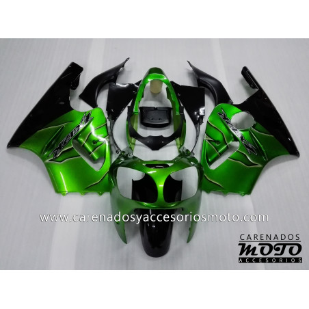 Kawasaki ZX12R 2000-2001