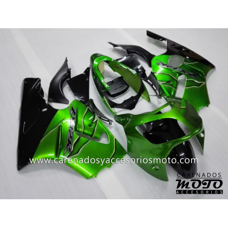 Kawasaki ZX12R 2000-2001