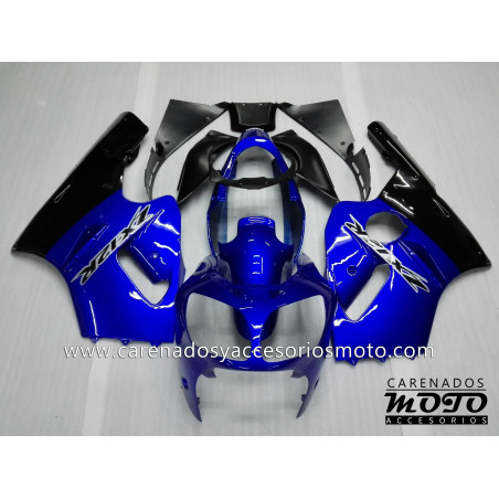 Kawasaki ZX12R 2000-2001