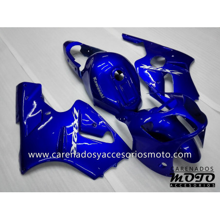 Kawasaki ZX12R 2000-2001