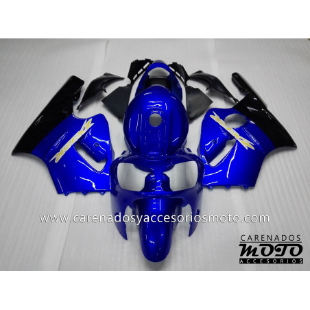 Kawasaki ZX12R 2000-2001