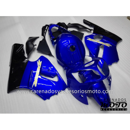 Kawasaki ZX12R 2000-2001