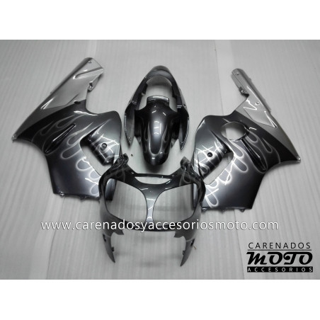 Kawasaki ZX12R 2000-2001