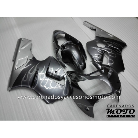 Kawasaki ZX12R 2000-2001