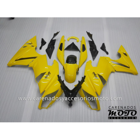 Kawasaki ER-6F / 650R 2009-2011