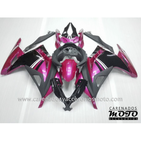 Kawasaki EX 300 2013-2014