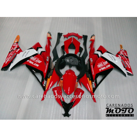 Kawasaki EX 300 2013-2014