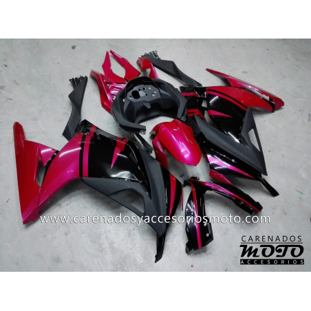 Kawasaki EX 300 2013-2014