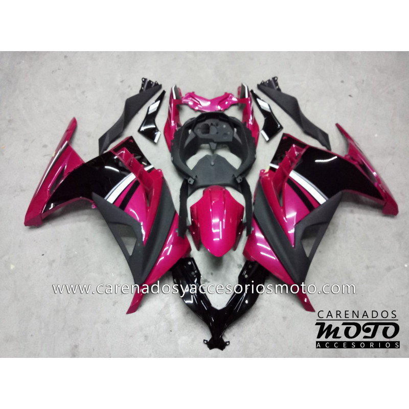 Kawasaki EX 300 2013-2014 Kawasaki EX 300 2013-2014