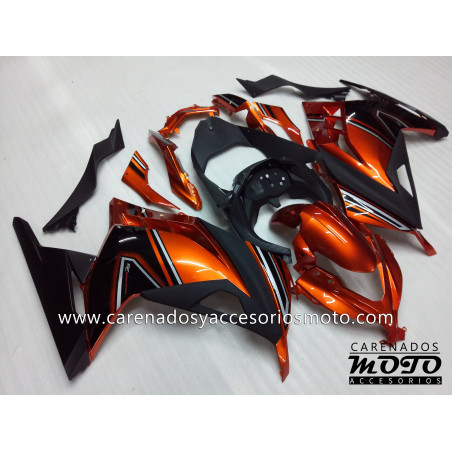 Kawasaki EX 300 2013-2014