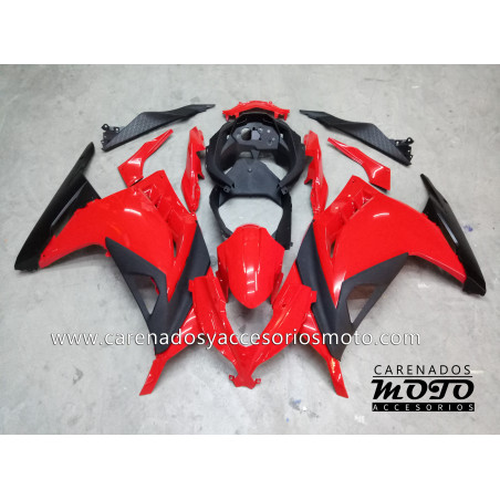 Kawasaki EX 300 2013-2014