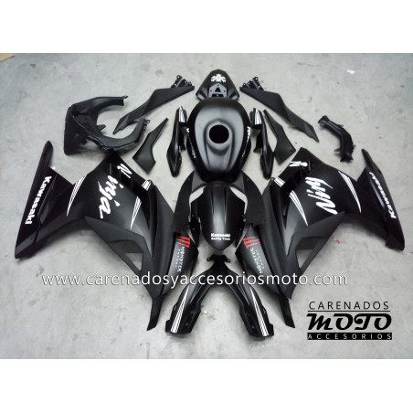 Kawasaki EX 300 2013-2014