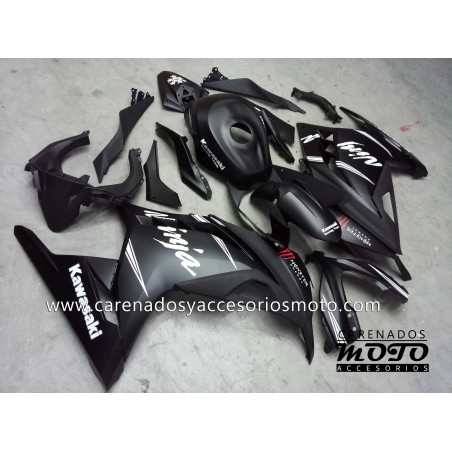 Kawasaki EX 300 2013-2014