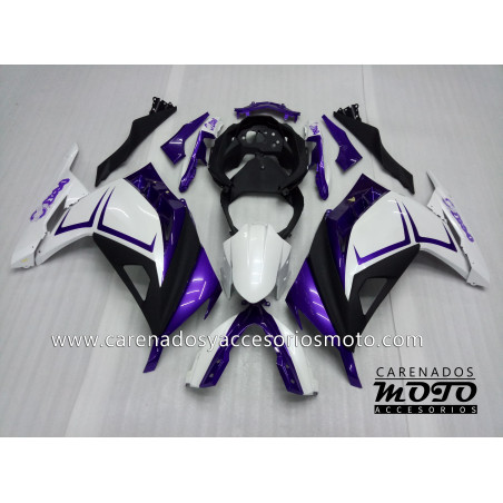 Kawasaki EX 300 2013-2014