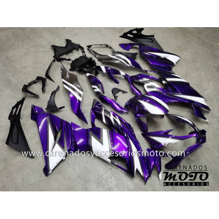 Kawasaki ZX6R 2019-2023