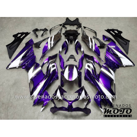 Kawasaki ZX6R 2019-2020