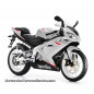 Aprilia RS 125 2006-2011