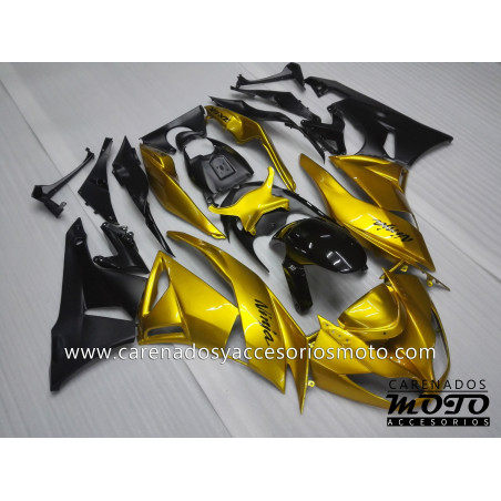 Kawasaki ZX 6R 2009-2012