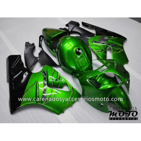 Kawasaki ZX12R 2000-2001