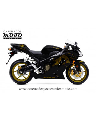 Kawasaki ZX-6R 2005-2006