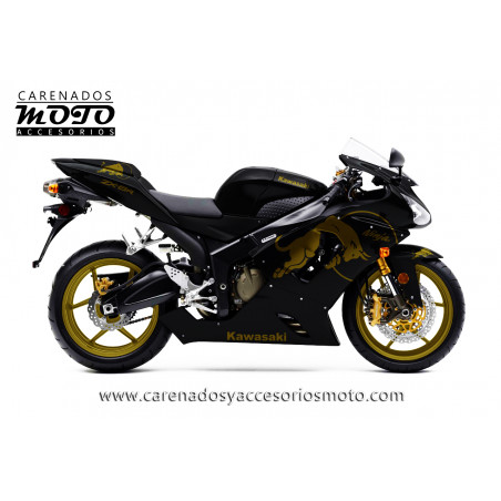 Kawasaki ZX-6R 2005-2006