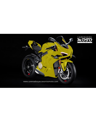 Ducati V4 / V4S 2022-2024