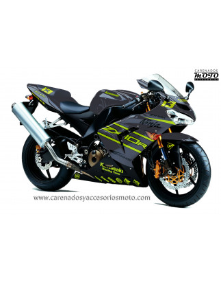 Kawasaki ZX10R 2004-2005