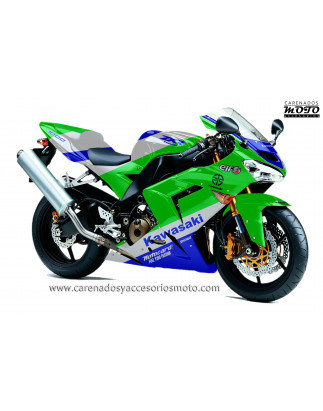 Kawasaki ZX10R 2004-2005