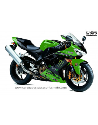 Kawasaki ZX10R 2004-2005