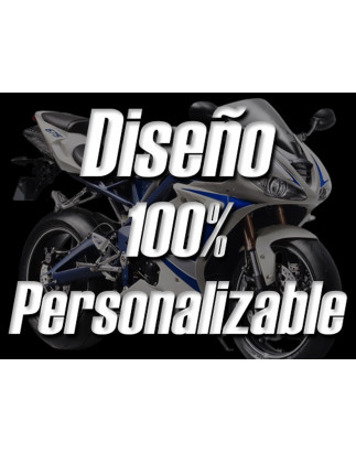 Carenados Triumph Daytona 675 2006-2008