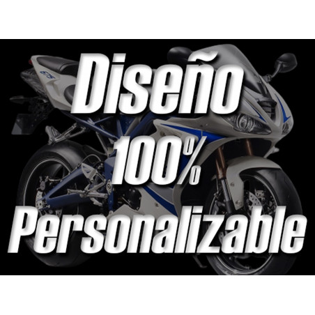 Carenados Triumph Daytona 675 2006-2008
