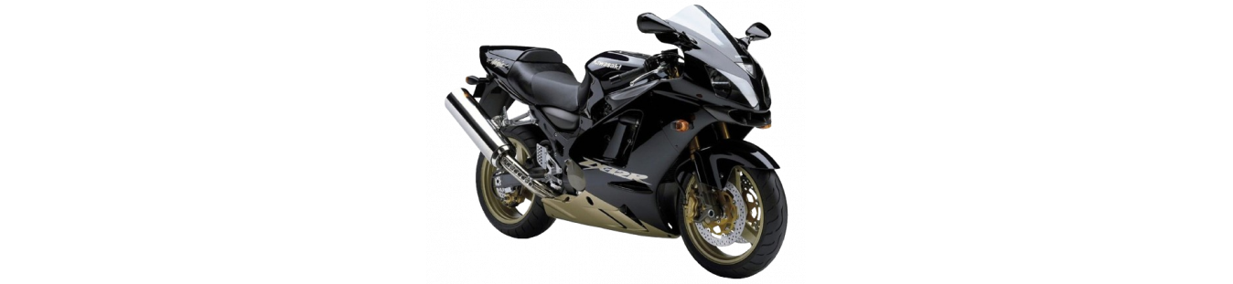 Carenado Kawasaki ZX12R 2002-2005
