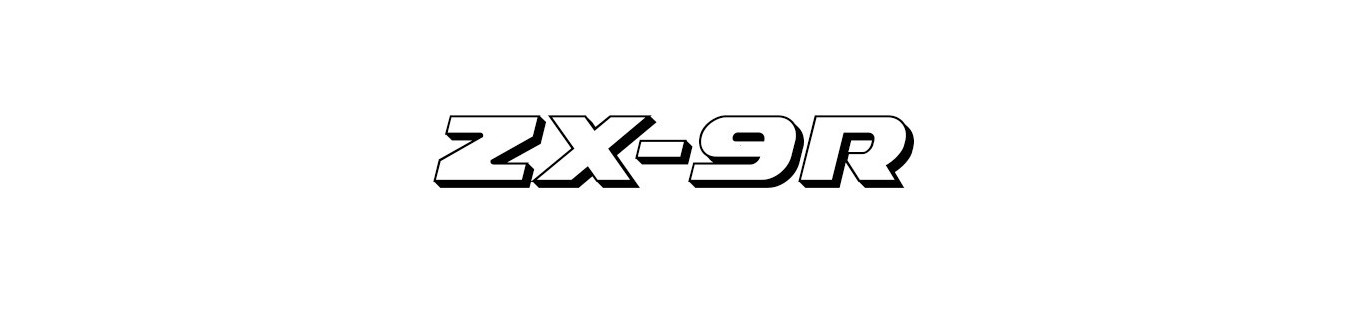Araña Kawasaki ZX-9R | Carenadosyaccesoriosmoto.com