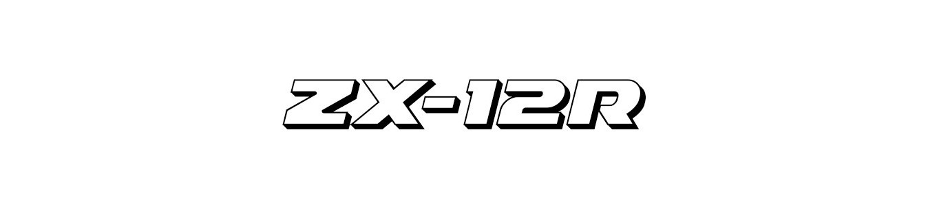 Araña Kawasaki ZX-12R | Carenadosyaccesoriosmoto.com