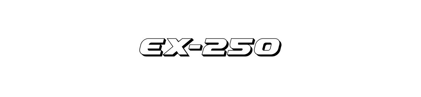 Araña Kawasaki EX-250R | Carenadosyaccesoriosmoto.com