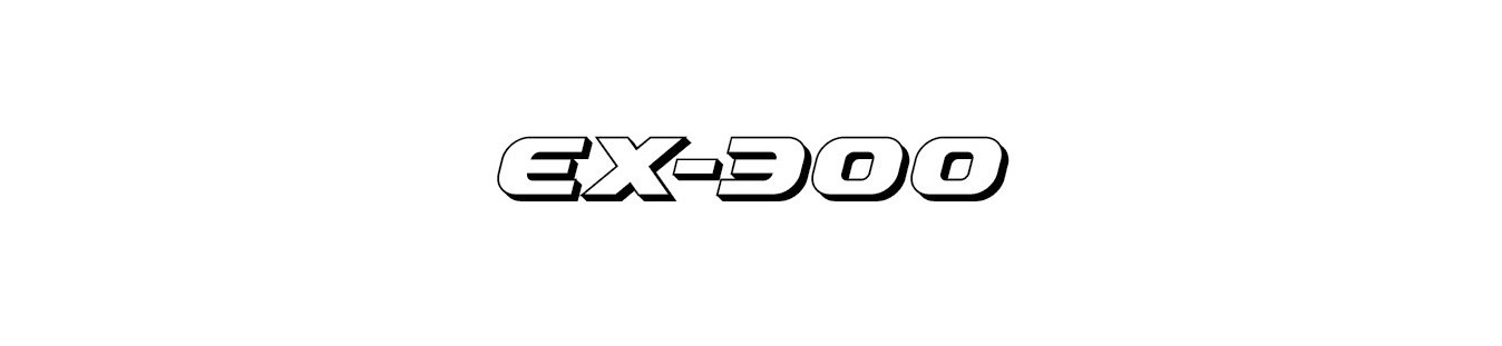 Araña Kawasaki EX-300 | Carenadosyaccesoriosmoto.com