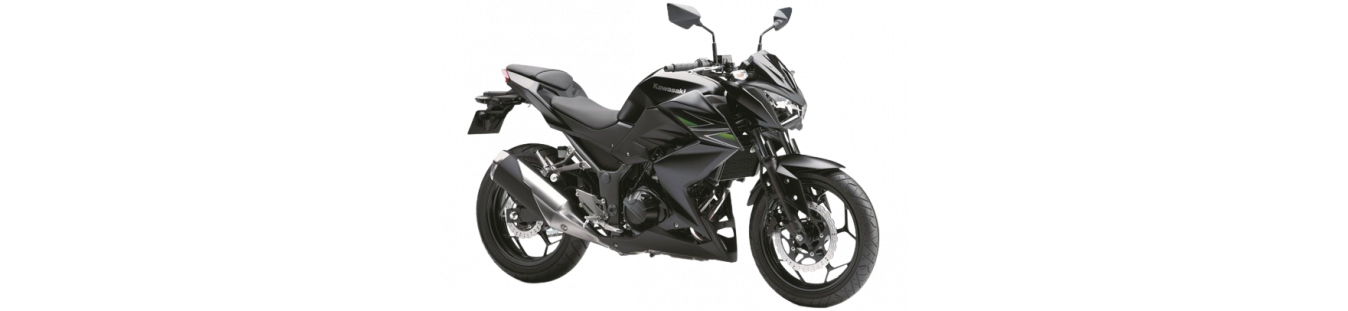 El Mejor Carenado KAWASAKI Z250 2013-2015