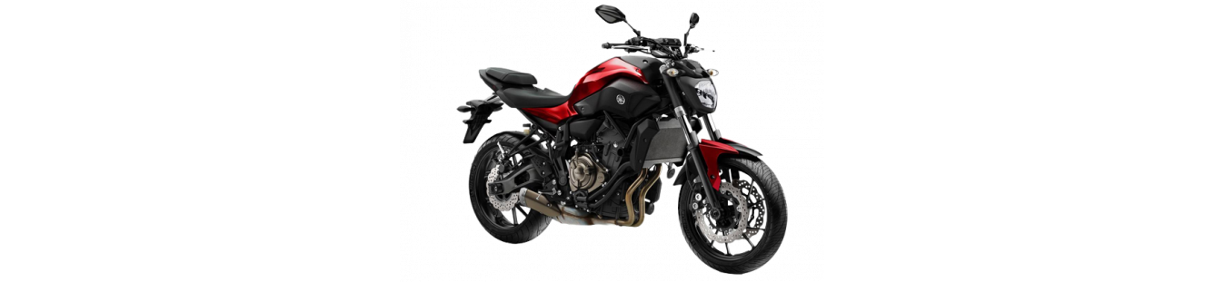Carenado Yamaha MT07 2012-2017