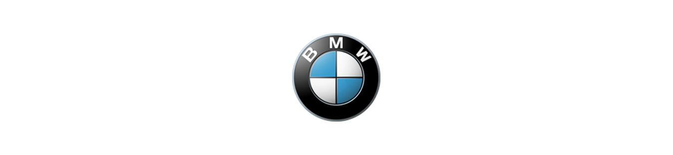 Arañas carenados BMW | Carenadosyaccesoriosmoto.com