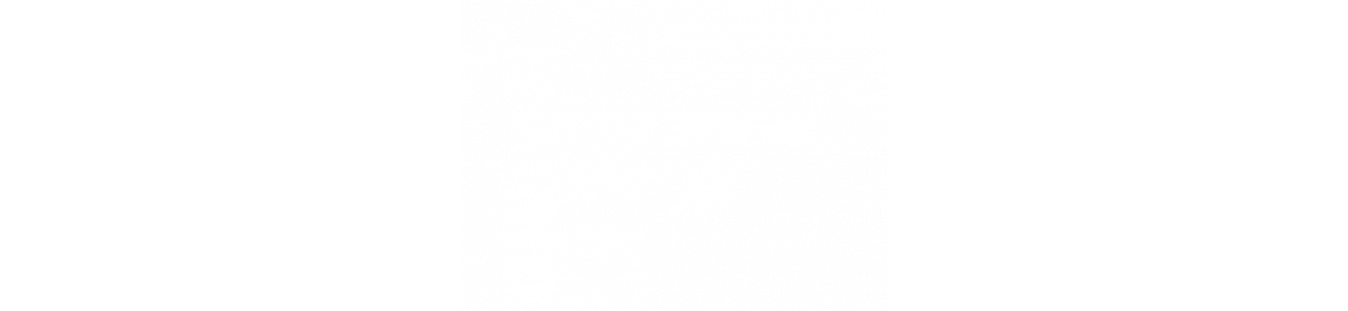 Compra el mejor Carenado Honda CBR 1100XX | Carenados Motos