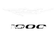 Aprilia RSV4 1000